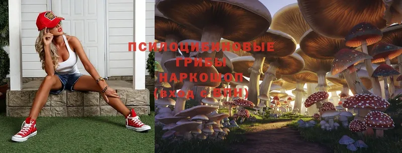 Псилоцибиновые грибы MAGIC MUSHROOMS  Болохово 